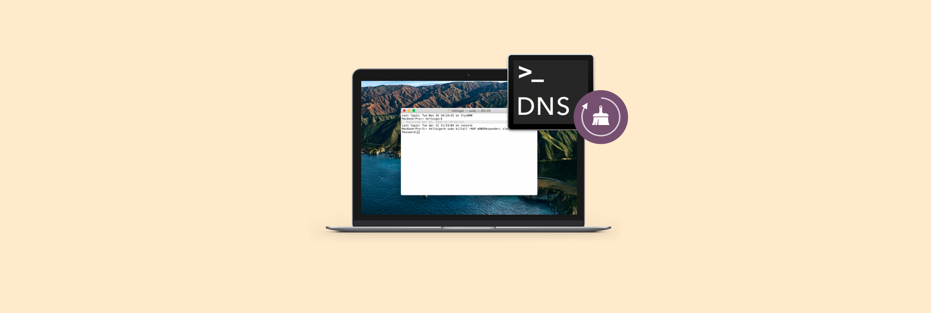 Flush DNS cache on a Mac with ease Setapp